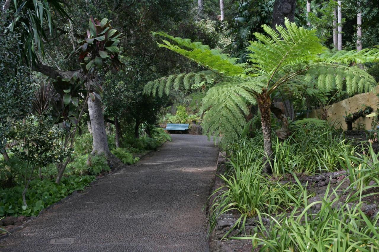 Rochinha Cozy Home Funchal  Exterior foto